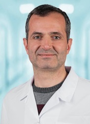 Enis